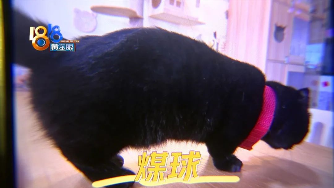 DƬ